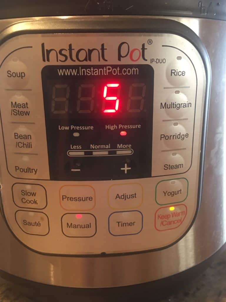 Instant Pot Five Minutes