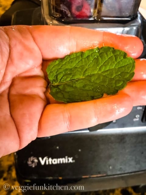 mint leaf on hand