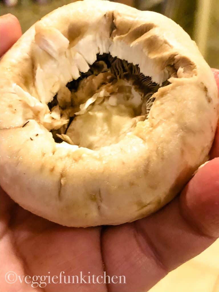 mushroom cap in hand with stem removed