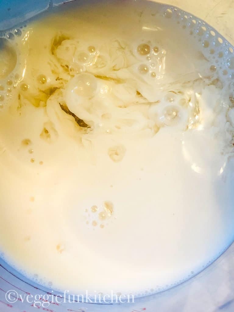 plant milk with vinegar in it starting to sour