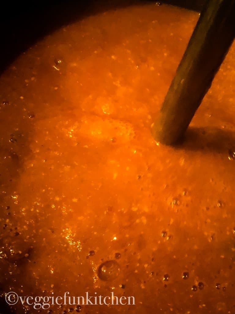 immersion blender in instant pot and blended tomato soup