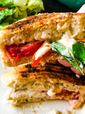 caprese panini held in hand and on white plate with green salad