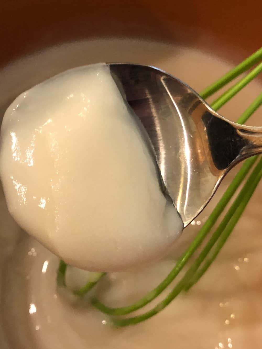 The Creamiest Vegan Sweet Cream Ice Cream with Coconut Milk Veggie Fun Kitchen