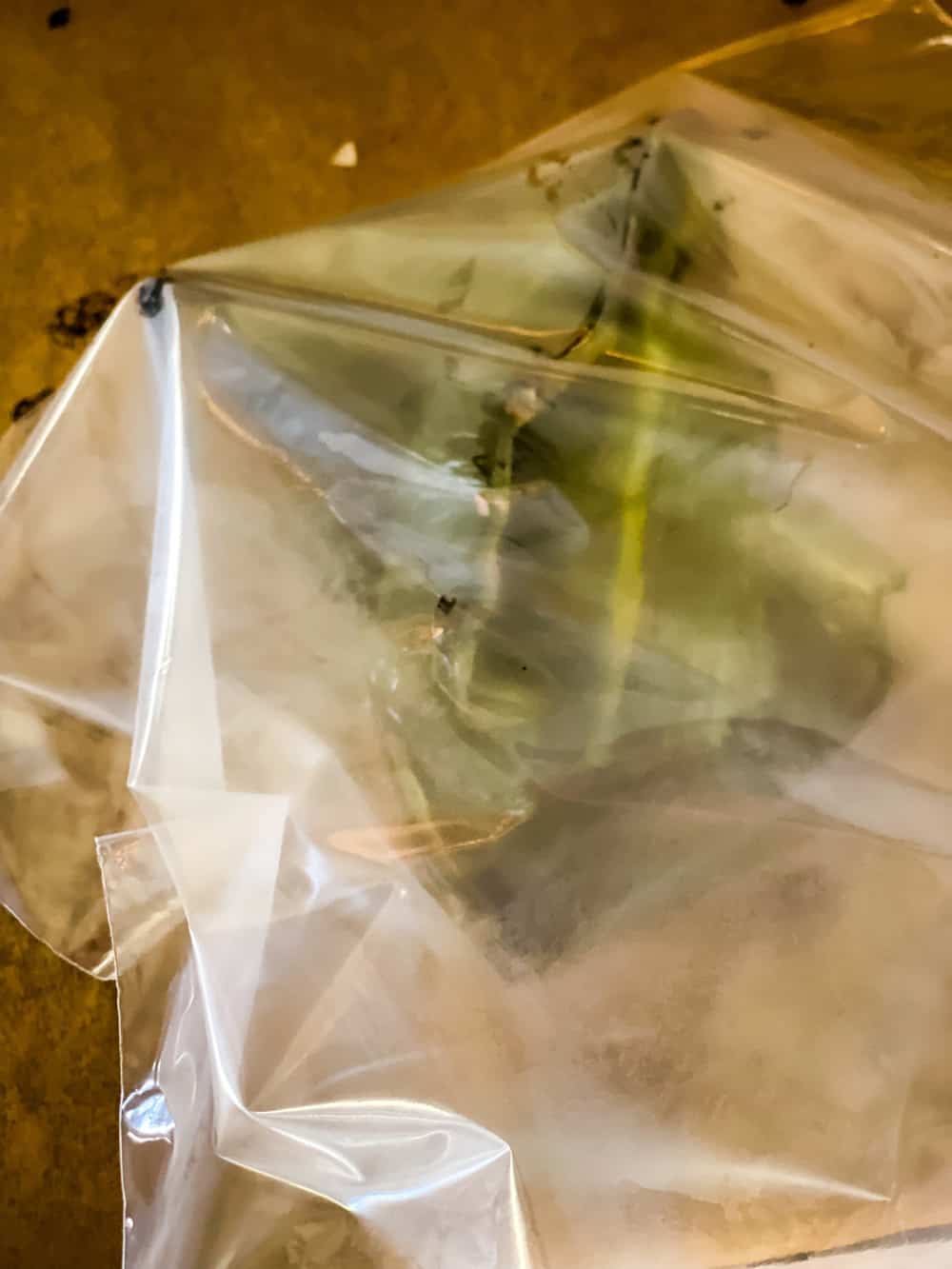 roasted poblano peppers in a baggie