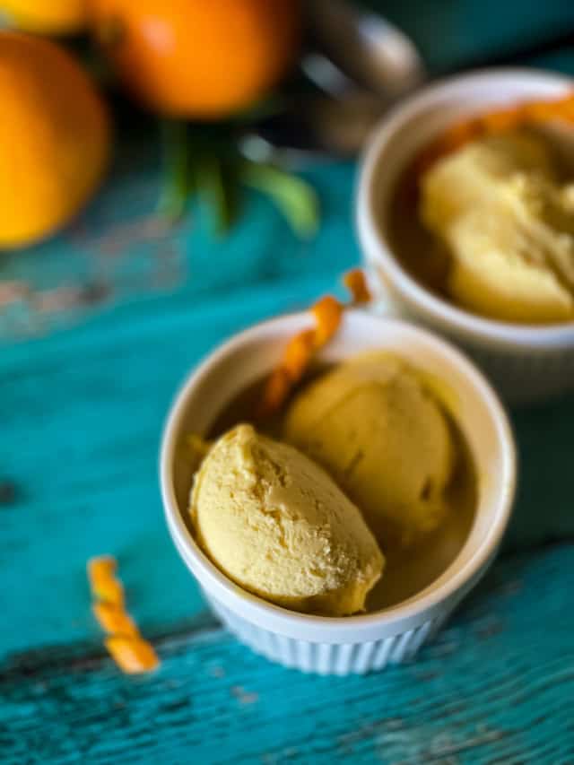 Vegan Ninja Creami Recipes Veggie Fun Kitchen