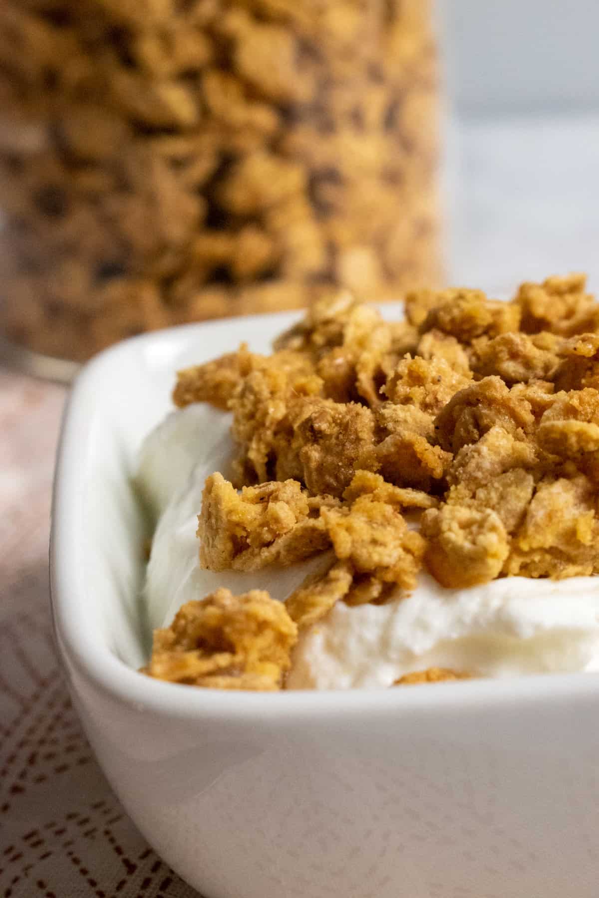 Pumpkin Spice Granola Recipe-image