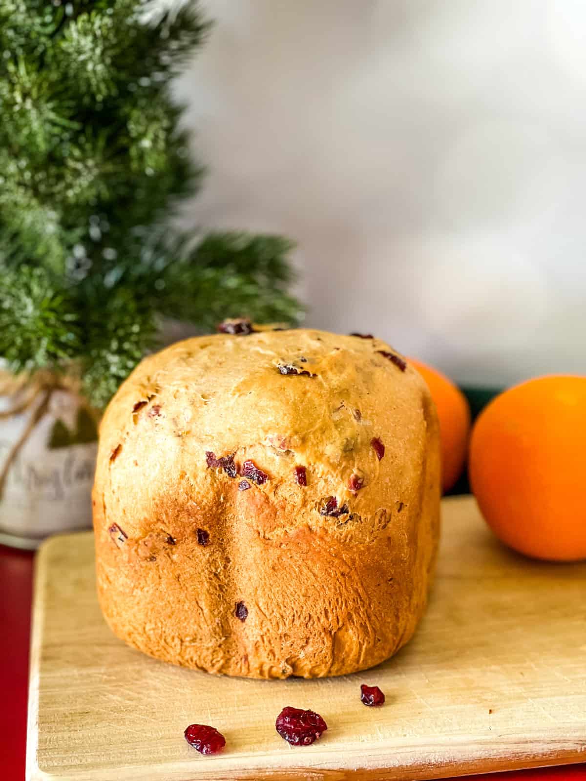 Orange Cranberry Yeast Bread Made in the Bread Maker Veggie Fun Kitchen