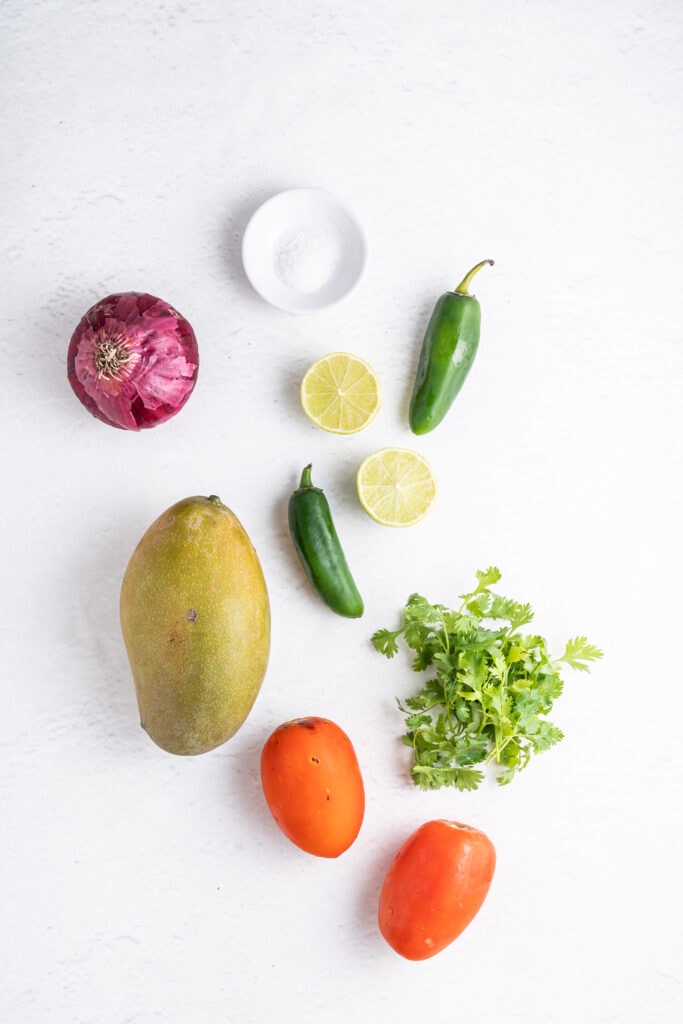 ingredients needed for mango pico de gallo including red onion, salt, lime, jalapeno pepper, cilantro, mango, and tomatoes