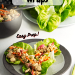 A small plate with three prepared tofu lettuce wraps with a bowl of the tofu mixture and a plate of butter lettuce in the background with pinterest overlay text.