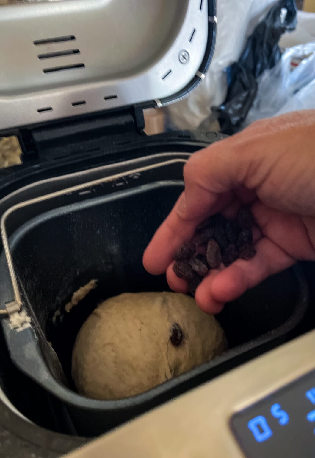Vegan Cinnamon Raisin Bread (Bread Machine Recipe) Veggie Fun Kitchen