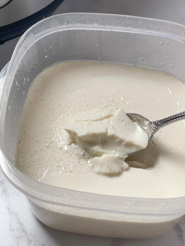 The vegan yogurt has processed. It is in a container and a spoon is spooning out a portion to show the texture.