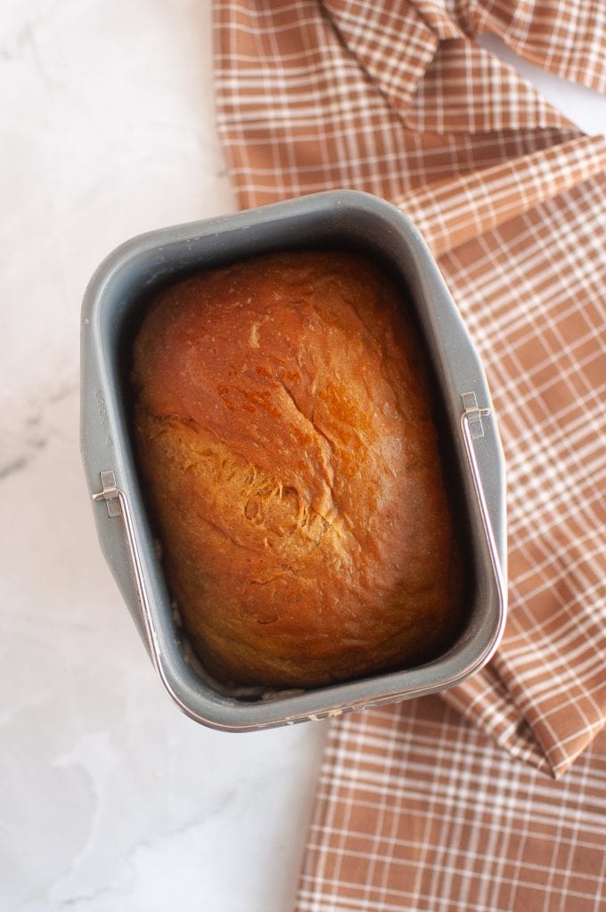 Freshly baked loaf of yeasted pumpkin bread in a bread machine pan.