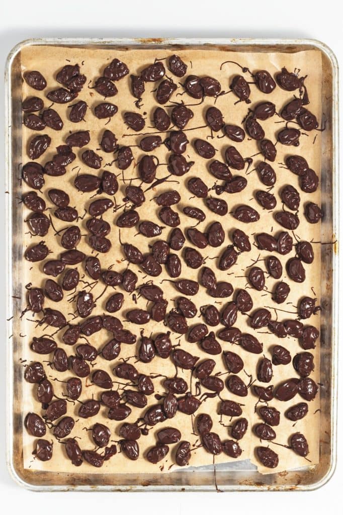 chocolate covered almonds on a parchment lined tray drying